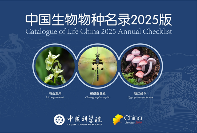 《中国生物物种名录》2025版发布，我国已知菌物超过三万种.