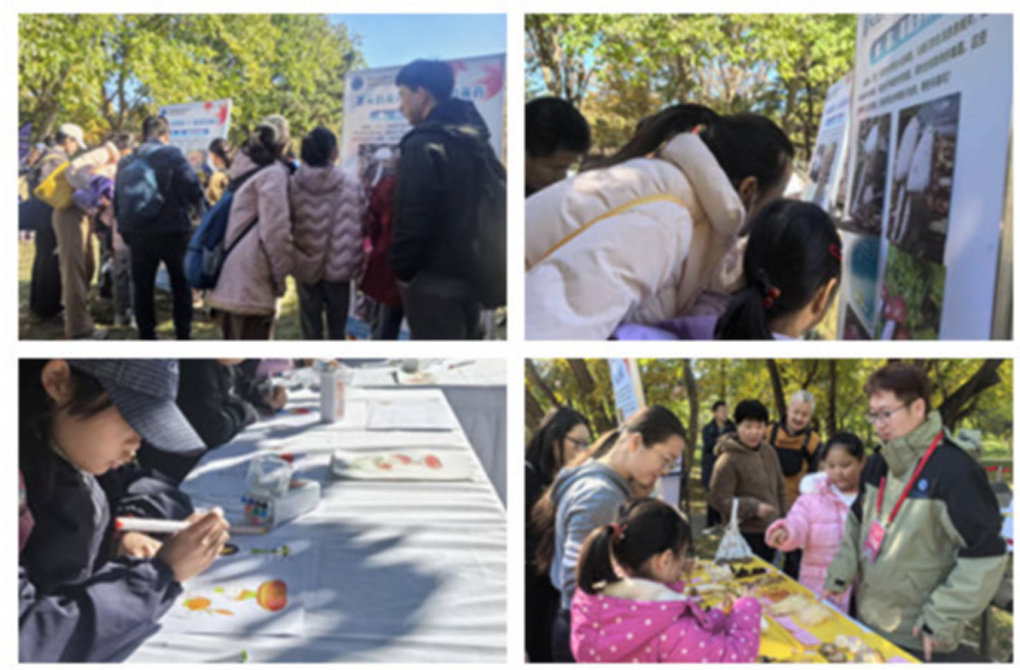 菌物标本馆助阵中国科学院第八届科学节